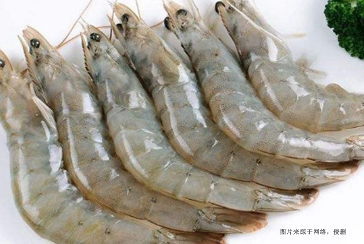進(jìn)口泰國冷凍白對(duì)蝦報(bào)關(guān)費(fèi)用