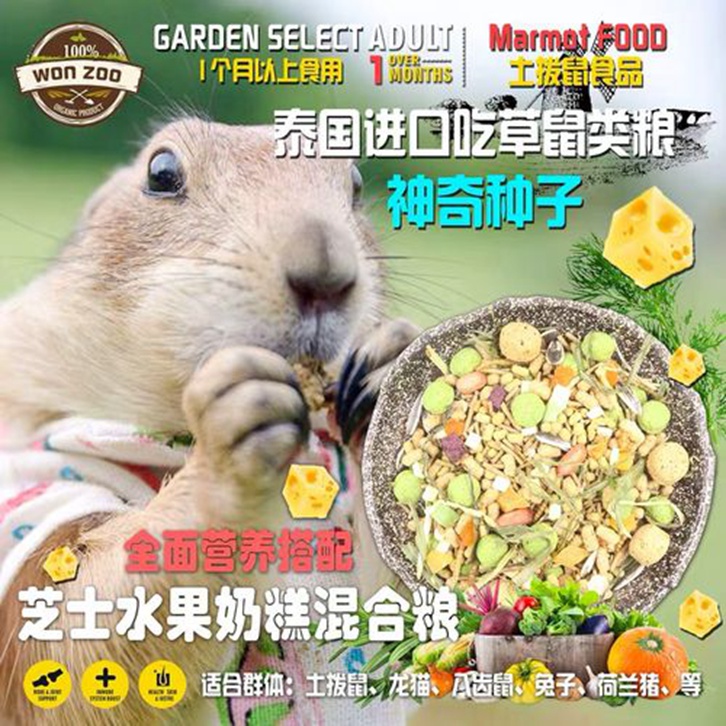 動(dòng)物飼料進(jìn)口報(bào)關(guān)流程