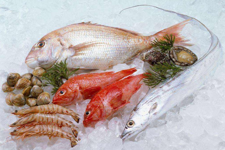 廣州冷凍品進(jìn)口報(bào)關(guān)公司哪家好？廣州報(bào)關(guān)行排名