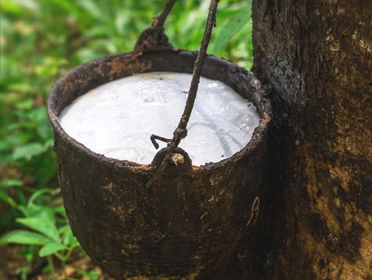 深圳橡膠進(jìn)口報(bào)關(guān)流程