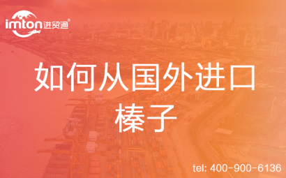 如何從國外進(jìn)口榛子