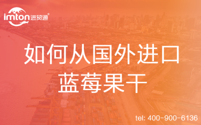 如何從國外進口藍莓果干