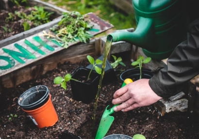 植物培養(yǎng)液進口報關報檢流程手續(xù)以及資料