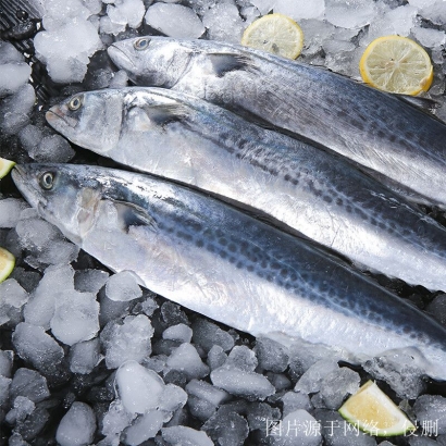 越南進口冰鮮魚清關(guān)流程_胡志明港海運報關(guān)費用