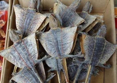 Look!上海港進口蛤蚧代理清關(guān)的基本要求