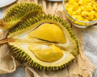 青島進口冷凍泰國榴蓮報關代理公司-水果報關行