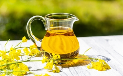 進口菜籽油報關的詳細流程，get！