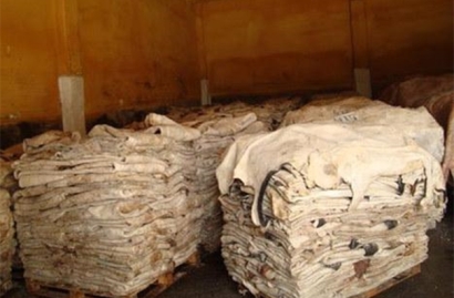 鹽濕皮進口清關的流程以及所需資料，請查收!