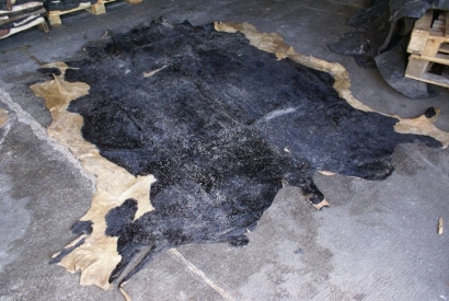 孟加拉國到青島藍(lán)濕牛皮進(jìn)口報關(guān)資料費(fèi)用代理案例