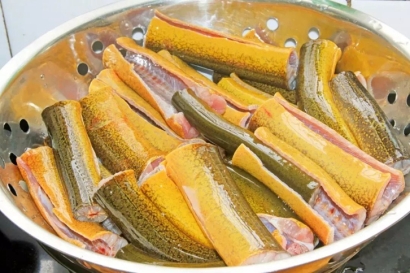 緬甸黃鱔進口報關流程_水產品黃鱔進口準入國家