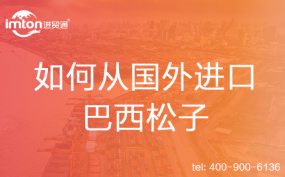 如何從國(guó)外進(jìn)口巴西松子