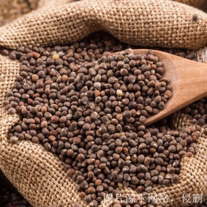 進(jìn)口奇亞籽清關(guān)資料流程_墨西哥奇亞籽進(jìn)口報(bào)關(guān)行