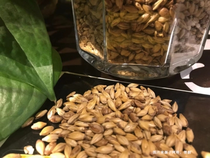 澳大利亞麥芽進(jìn)口報關(guān)資料_未烘焙啤酒麥芽清關(guān)流程