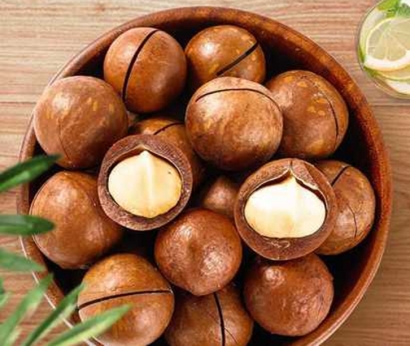 南非夏威夷果進(jìn)口報關(guān)資料-19年廣州堅果進(jìn)口報關(guān)行