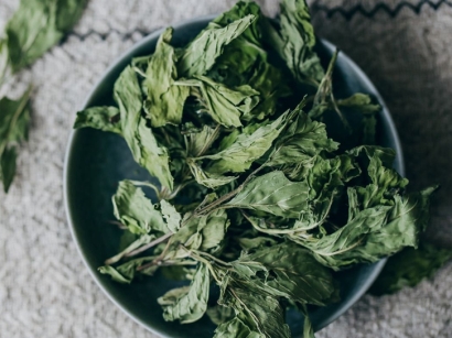 進(jìn)口美國干薄荷葉清關(guān)流程以及調(diào)味料進(jìn)口報(bào)關(guān)資質(zhì)