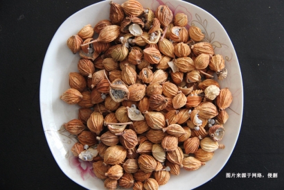 越南豆蔻到深圳港進(jìn)口清關(guān)操作流程及細(xì)節(jié)｜詳解信息