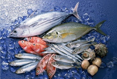 水產(chǎn)品進(jìn)口清關(guān)所需資料流程_越南沙丁魚報(bào)關(guān)代理