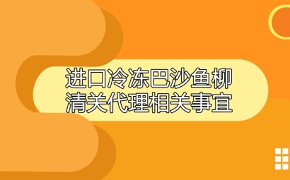 進口冷凍巴沙魚柳清關代理相關事宜指導