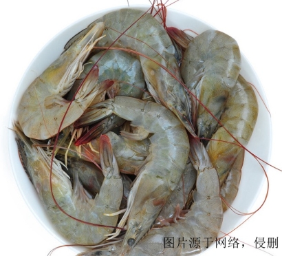 厄瓜多爾冷凍蝦進(jìn)口清關(guān)流程_上海冷凍蝦報(bào)關(guān)公司