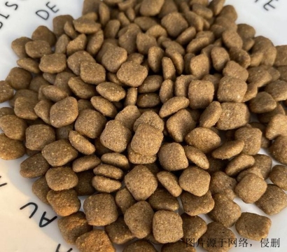 狗糧進口清關流程怎么操作？廣州狗糧進口報關資料