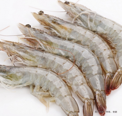 一文詳解進(jìn)口蝦怎么清關(guān)？巴拿馬白腳蝦報(bào)關(guān)的關(guān)稅