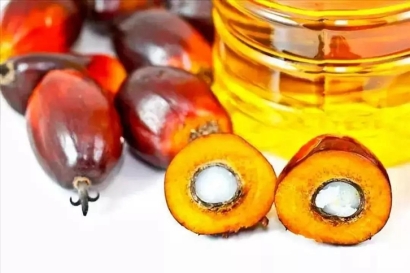 印度尼西亞棕櫚油進口清關(guān)流程及手續(xù)介紹