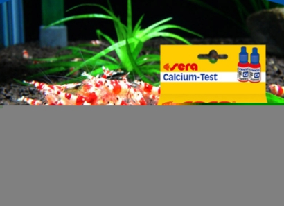 廣州黃埔進(jìn)口荷蘭水質(zhì)測(cè)試劑清關(guān)流程化工品案例