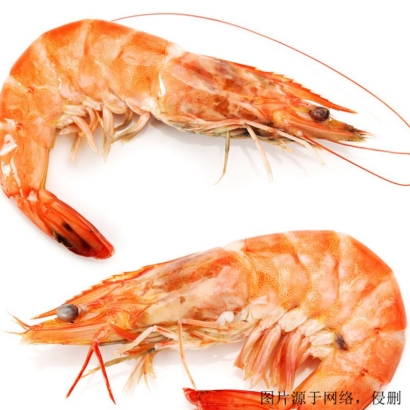 越南北方長額蝦進(jìn)口報(bào)關(guān)流程_廣州水產(chǎn)品海運(yùn)費(fèi)用