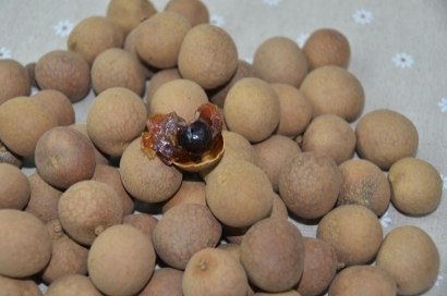 緬甸龍眼進口清關(guān)流程_新鮮水果進口報關(guān)單證資料