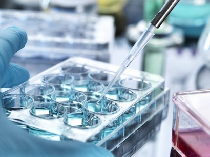 青島科研生物細胞進口報關(guān)費用及申報注意事項