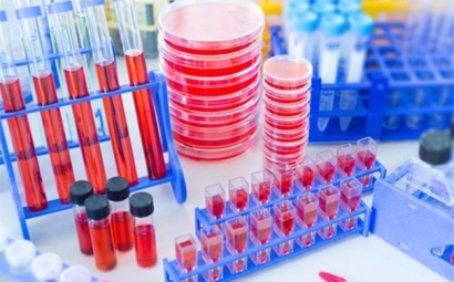 進口生物試劑清關(guān)時效以及流程