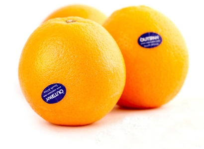 從南非進口鮮橙子水果報關(guān)到深圳蛇口清關(guān)代理操作案例