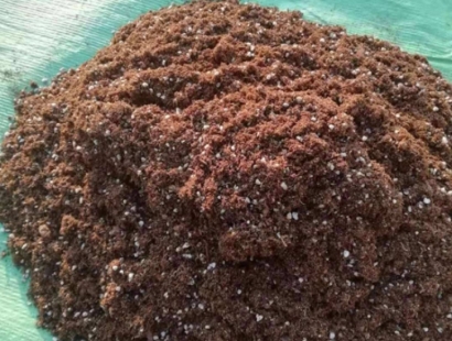 青島進(jìn)口清關(guān)報(bào)關(guān)公司代理椰糠進(jìn)口報(bào)關(guān)費(fèi)用