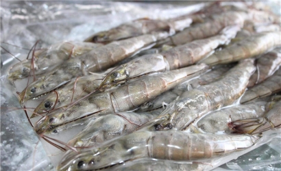 越南蝦進口報關(guān)流程技巧講解，get到了嗎