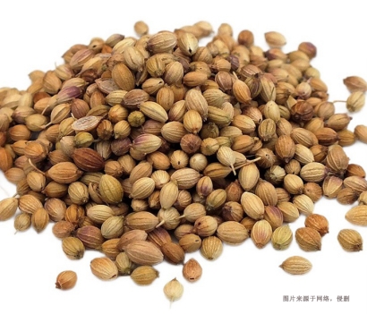 廣州南沙港進口印度芫荽子報關(guān)流程_香料通關(guān)要點