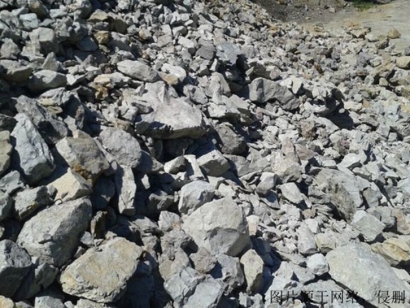 幾內(nèi)亞鋁礦進口清關費用_天津鋁礦石報關注意事項