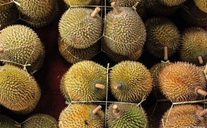 進口泰國榴蓮報關提前準備好這些資料，一點都不難