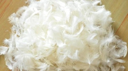 鴨毛進口報關，給大家普及一下相關知識