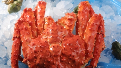 俄羅斯進口帝王蟹報關(guān)資料_上海進口帝王蟹關(guān)稅