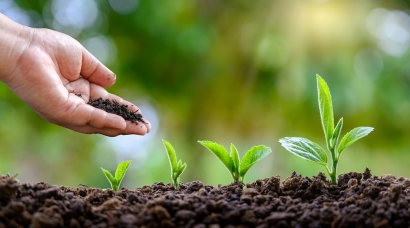 天津化肥進口報關(guān)代理