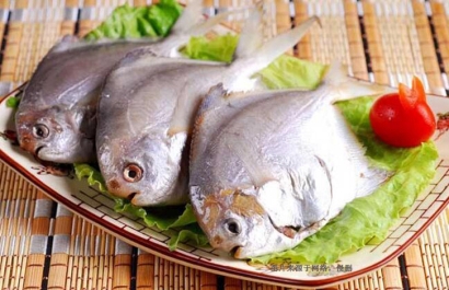 廣州南沙凍鯧魚進(jìn)口報關(guān)資料_厄瓜多爾準(zhǔn)入水產(chǎn)品