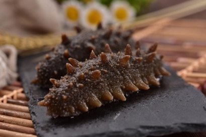 海參報關行有哪些推薦