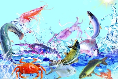 越南生鮮進口清關(guān)流程及費用詳解：有哪些細節(jié)需要注意？