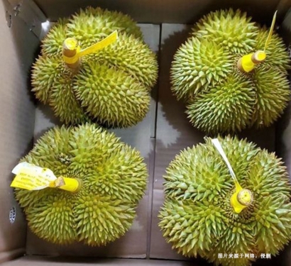 深圳機場進(jìn)口泰國榴蓮報關(guān)資料-曼谷空運門到門