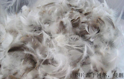 廣西進口越南鴨毛清關(guān)流程_水洗鴨絨進口報關(guān)費用