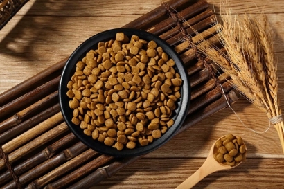 廣州貓糧進口報關(guān)公司哪家好?貓糧進口報關(guān)公司如何選擇?