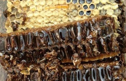 Get!蜂膠進(jìn)口清關(guān)代理需要注意這2點