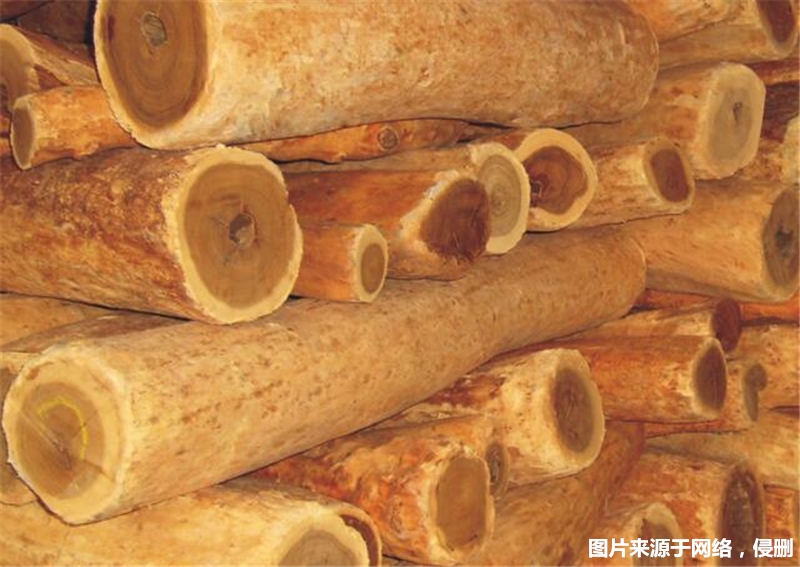 1677750256364916.jpg 進(jìn)口印度檀香木報(bào)關(guān)_副本.jpg