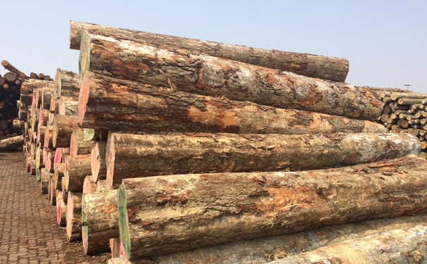 1628675467644666.jpg 原木進(jìn)口清關(guān)上海代理公司g