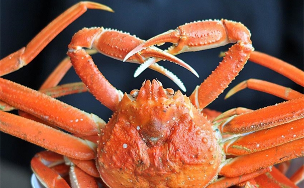 冷凍雪蟹進口報關代理公司如何成功報關冰凍雪蟹 冷凍雪蟹進口報關代理公司